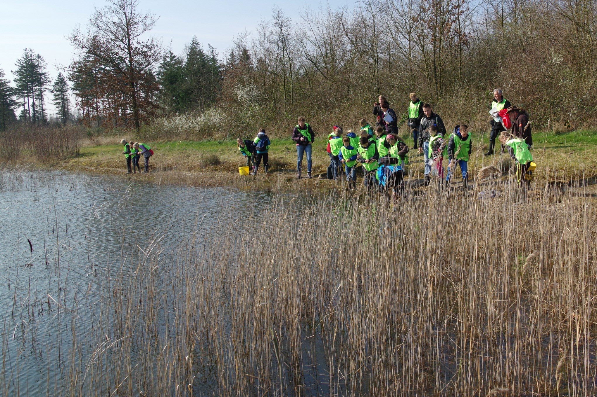 Paddentrek in het Kuinderbos