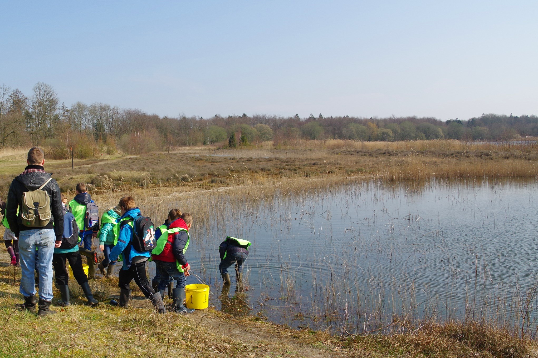 Paddentrek in het Kuinderbos