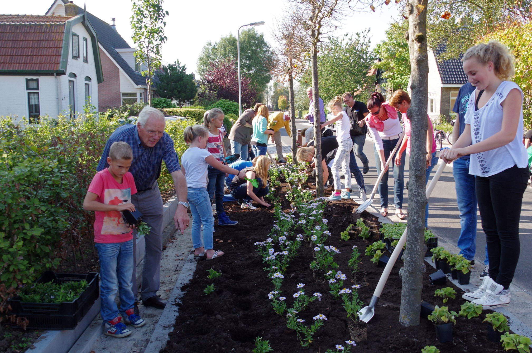 Langelille 50 jaar