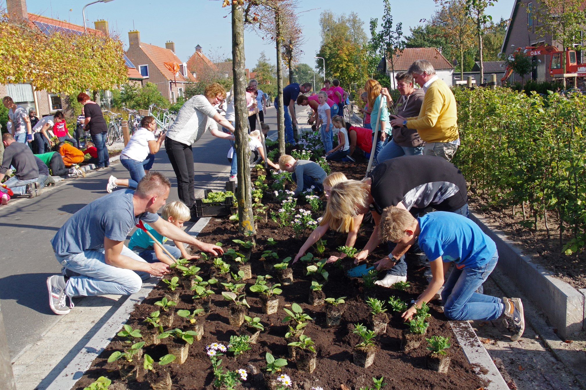 Langelille 50 jaar