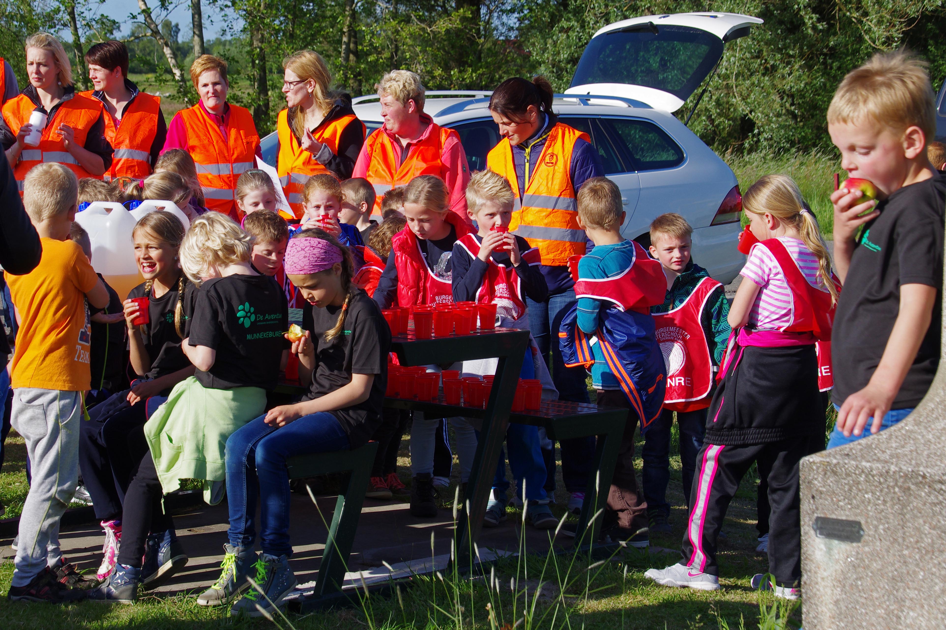 Avondvierdaagse 2015