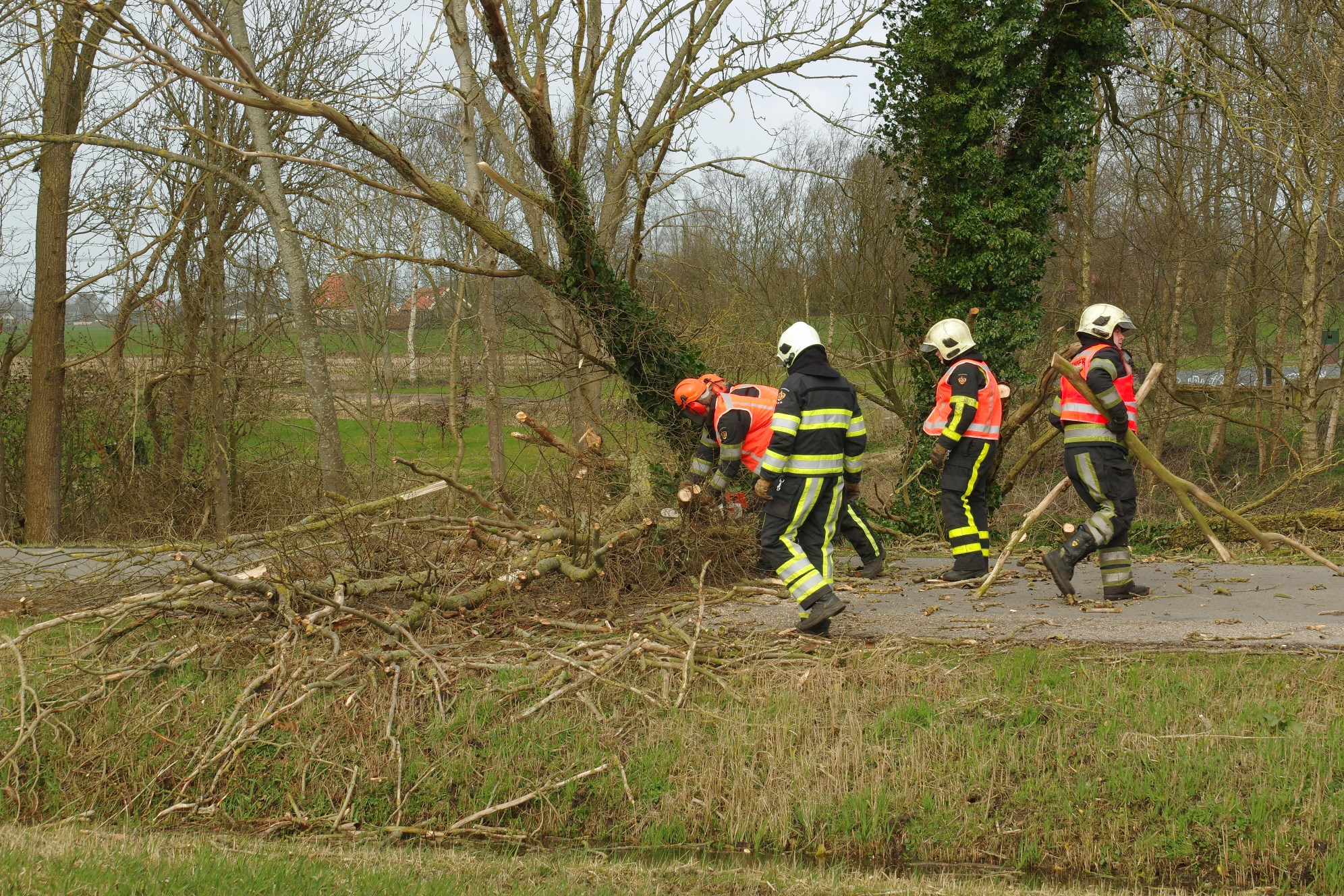 Voorjaarstorm 2015