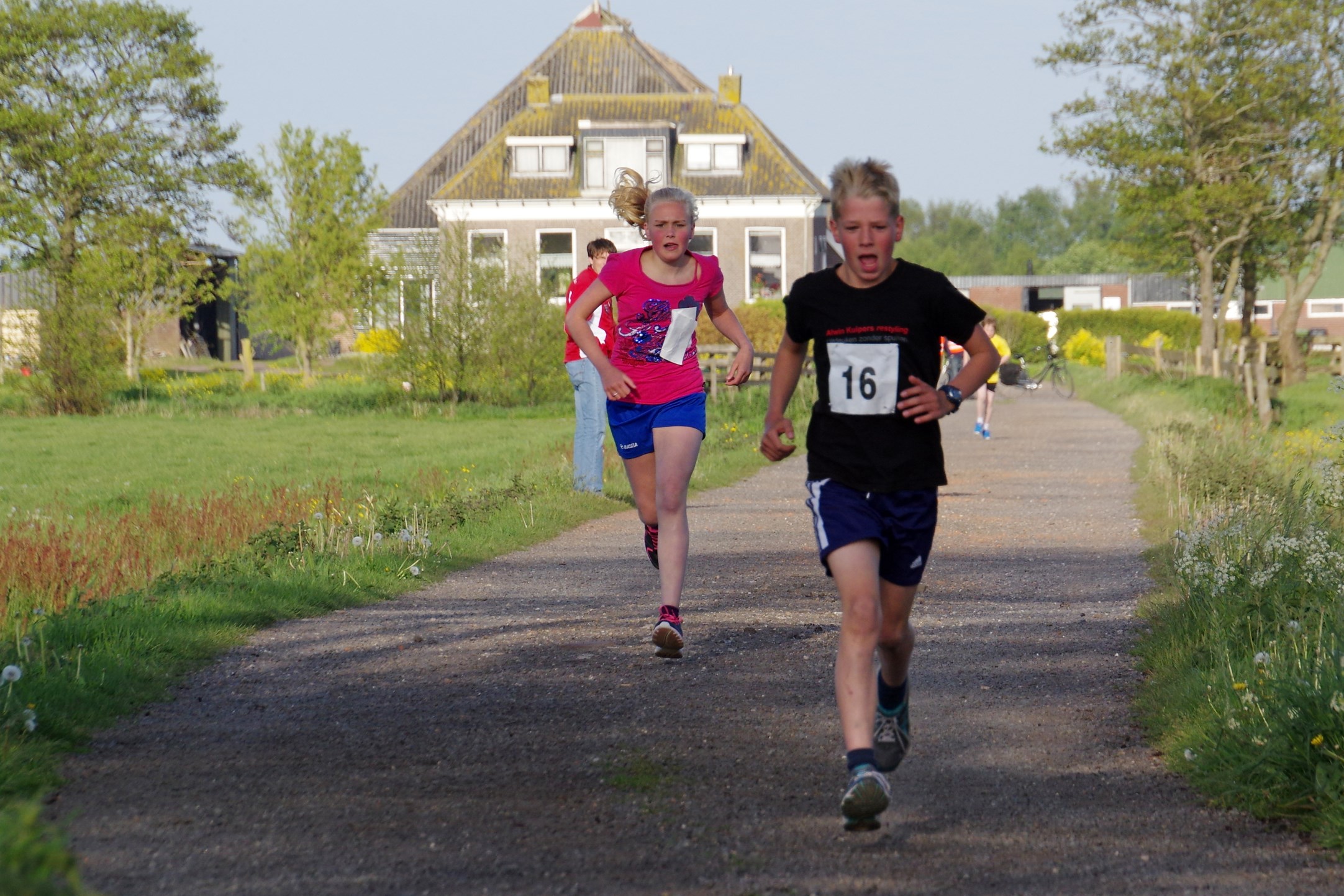 Westhoekloop 2015