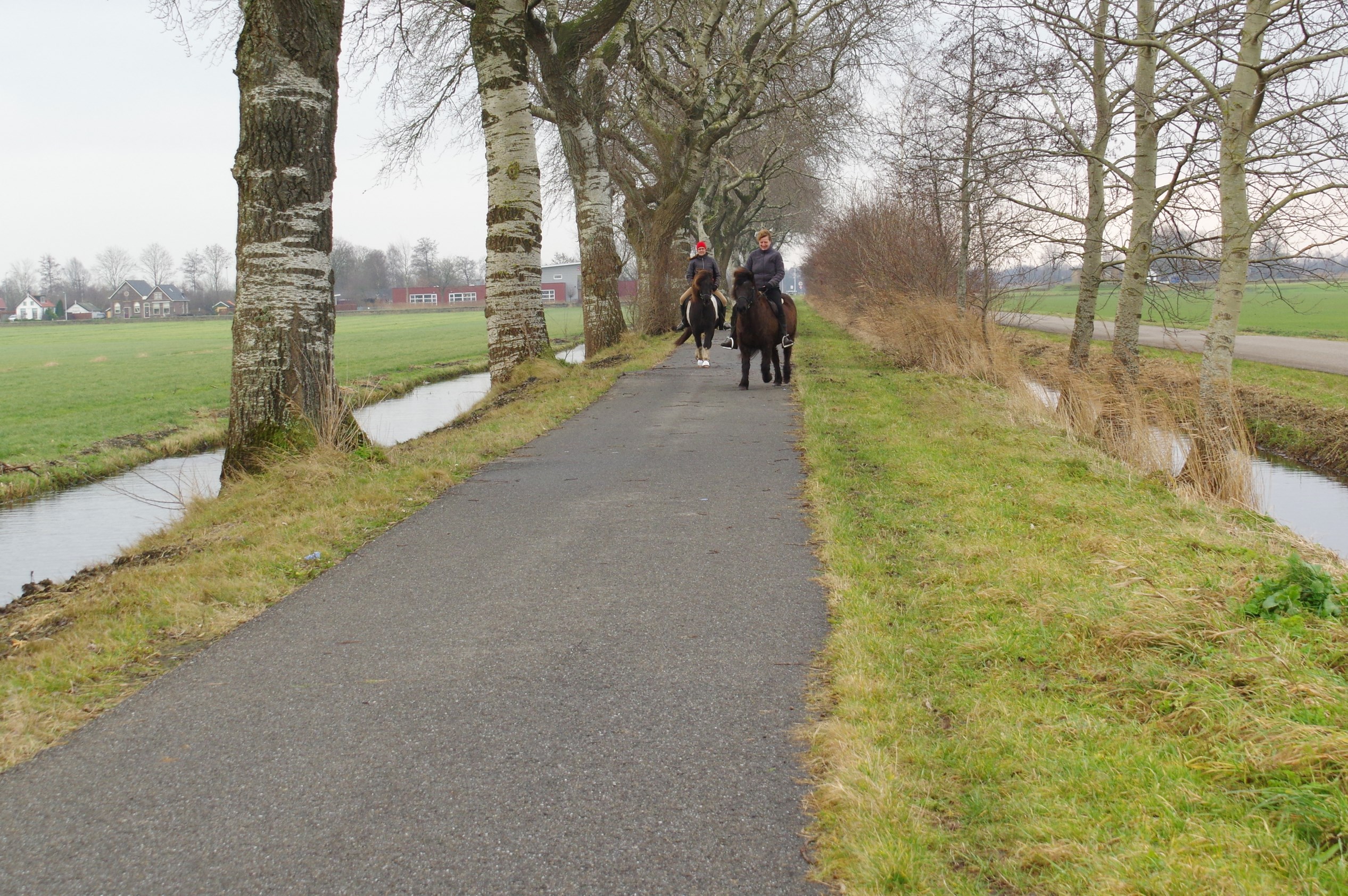 Fietspad naar Langelille