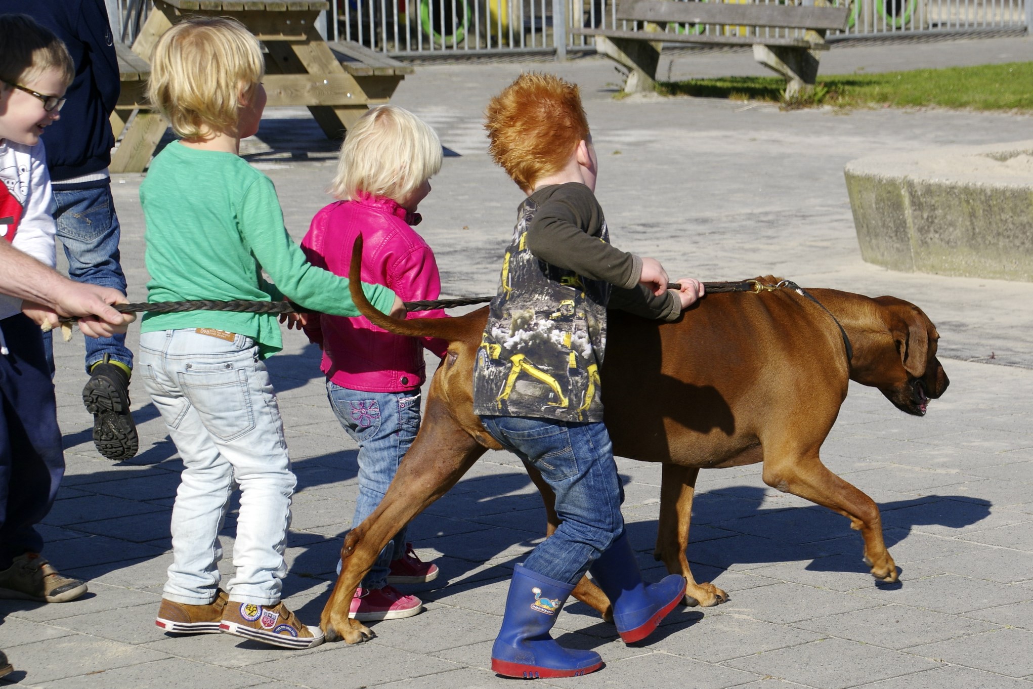 Dierendag op de Aventurijn