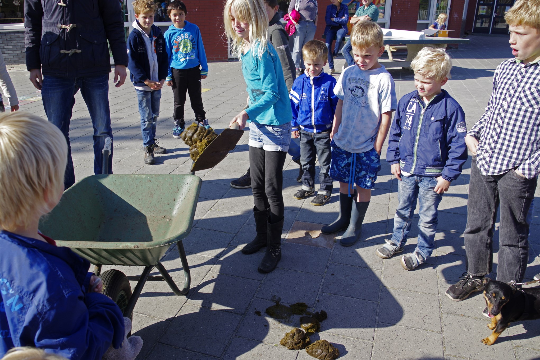 Dierendag op de Aventurijn