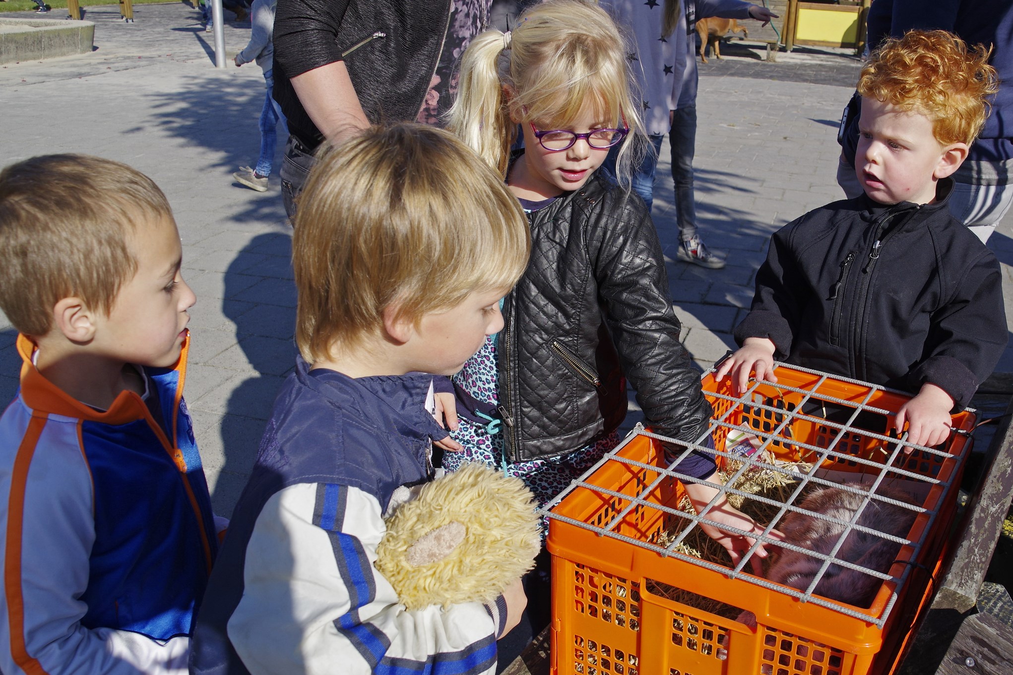 Dierendag op de Aventurijn