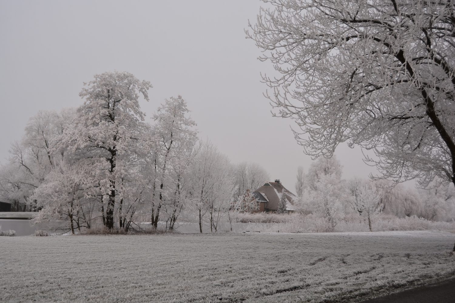 winter langelille