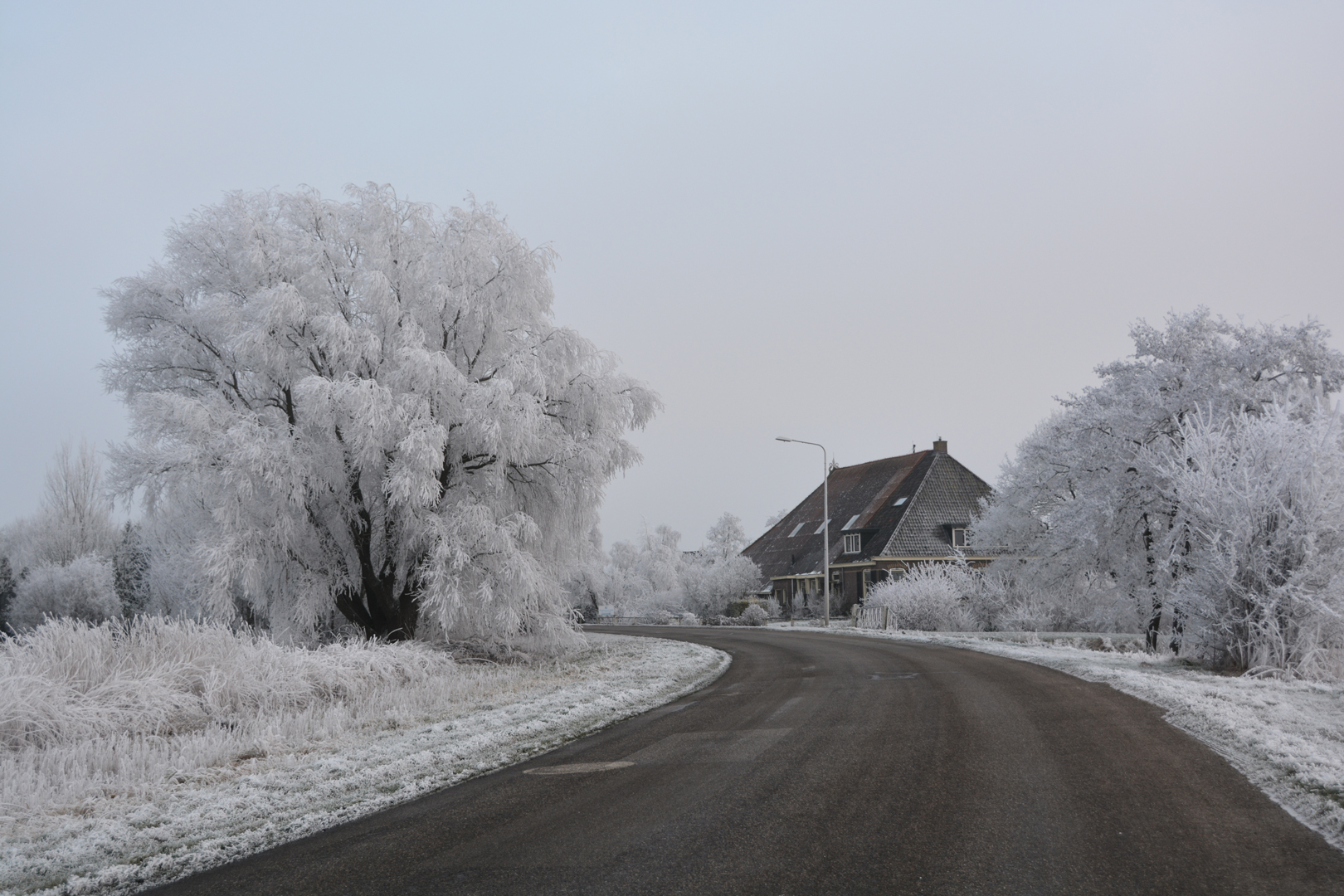 winter langelille