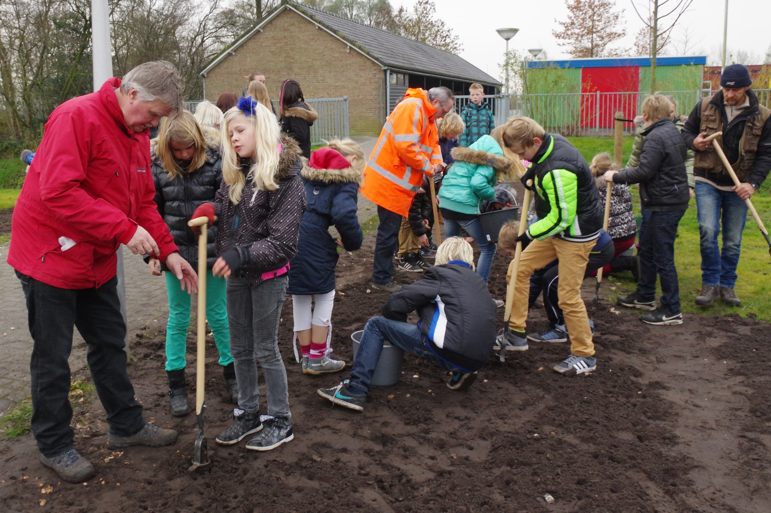 Dorpen in het groen bloembollen planten Munnekeburen