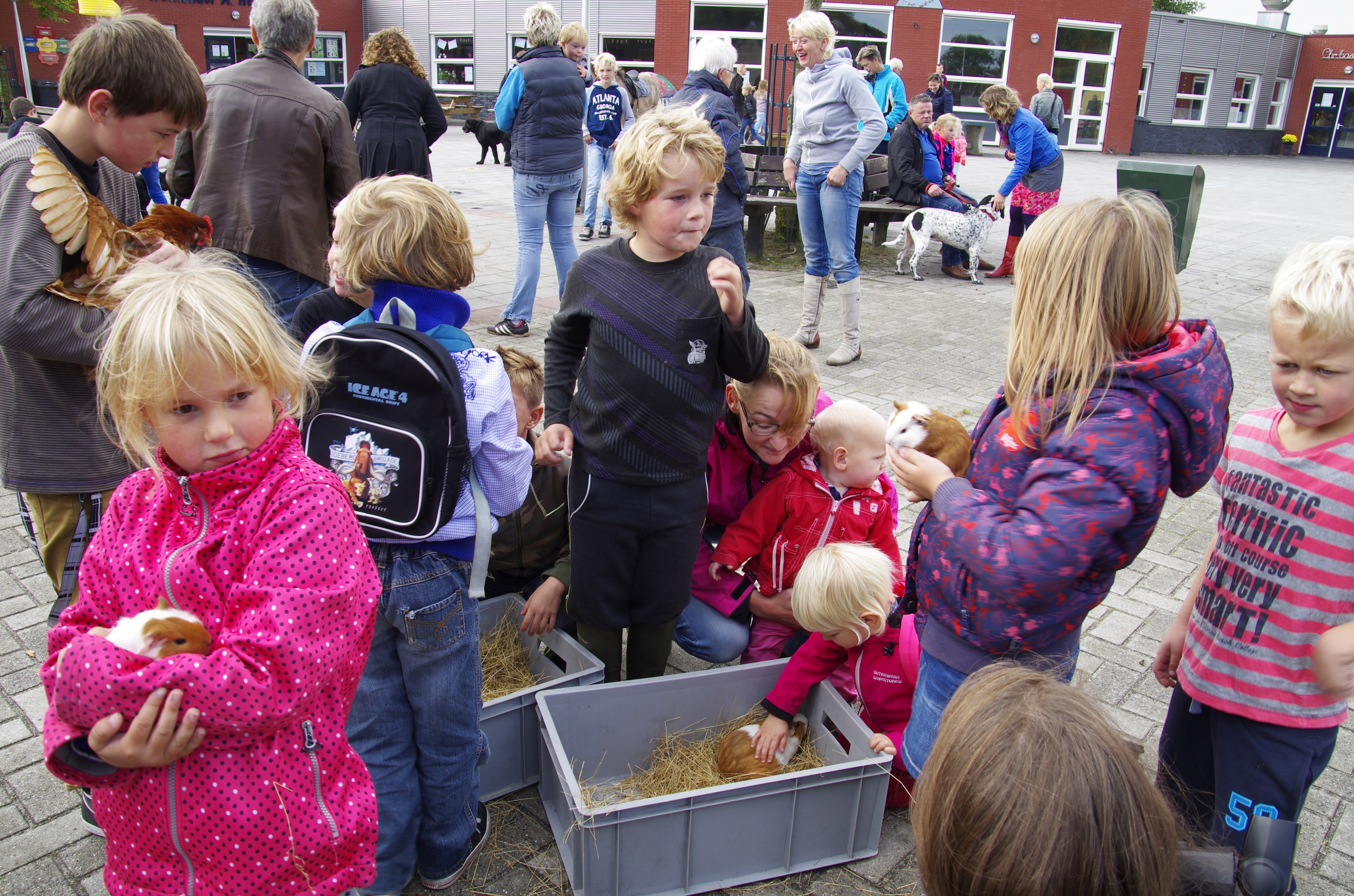 Dierendag op de scholen