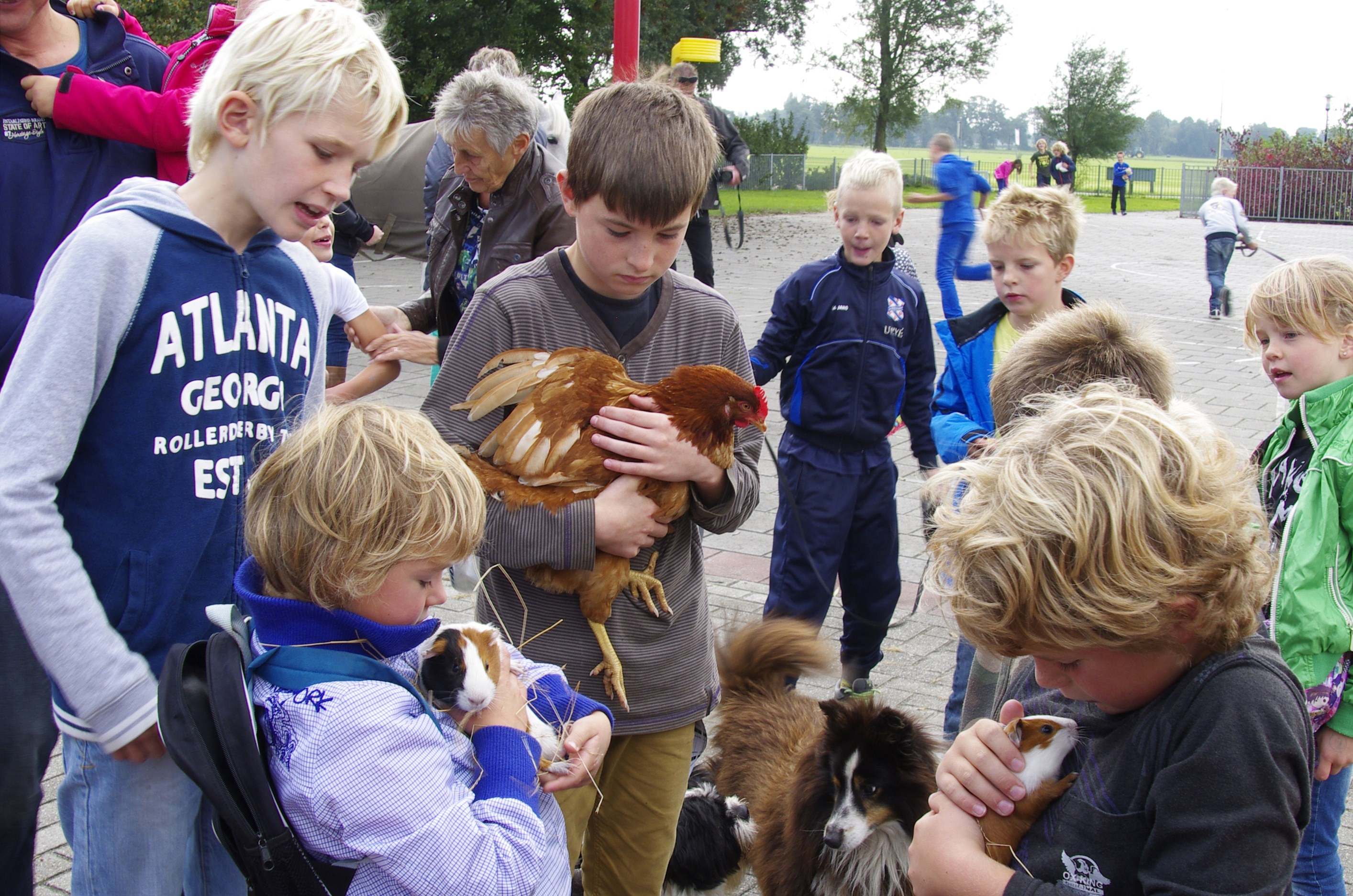 Dierendag op de scholen