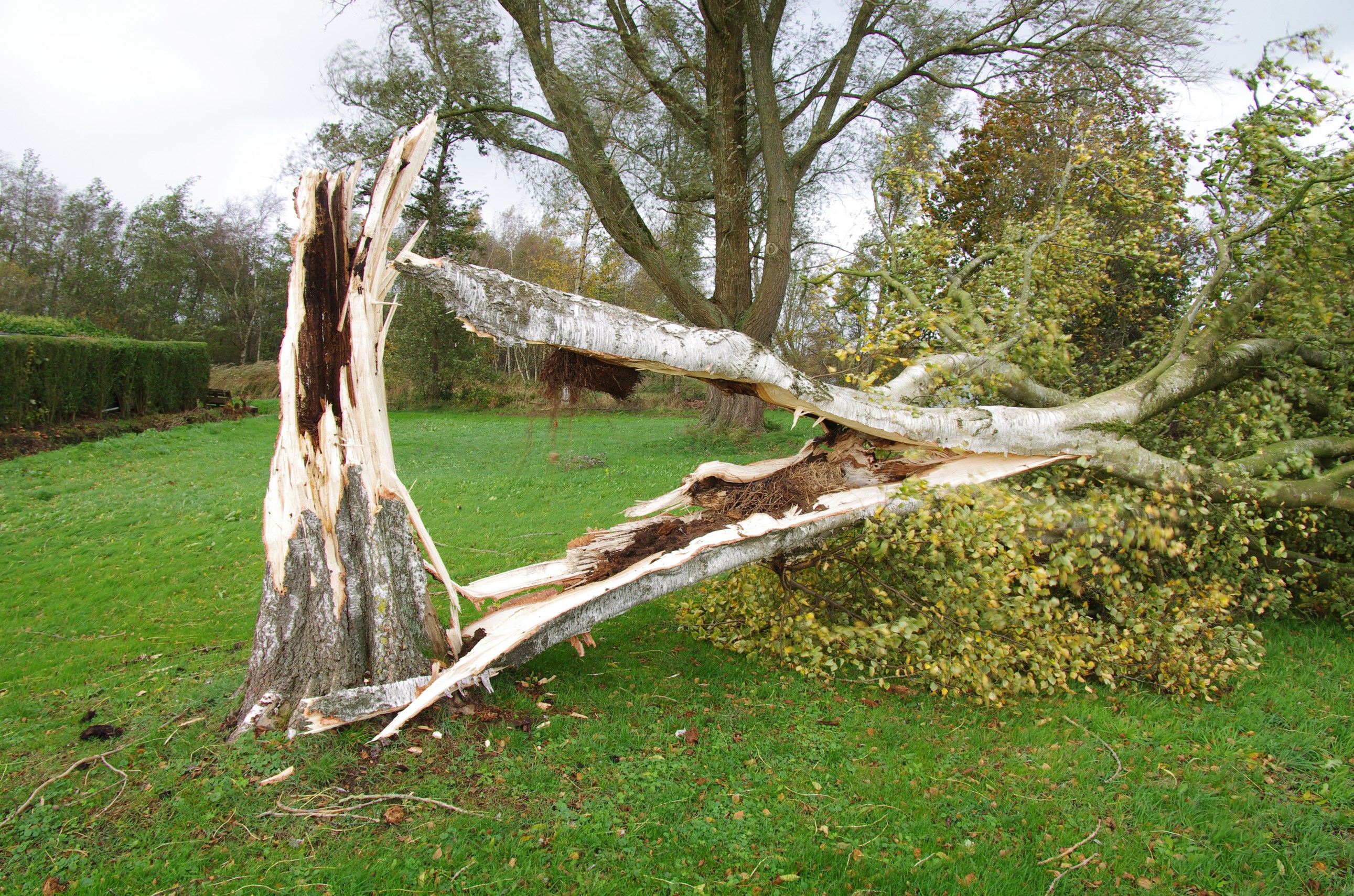 Eerste oktoberstorm 2013